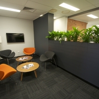 Plantability Indoor Plant Hire  Lush Green Office Rockhampton Seating Area