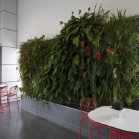 Plantability Indoor Plant Hire Green Wall Car Dealership Yeppoon